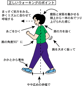 正しいウォーキングのポイント